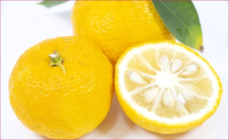 ゆず皮ペースト