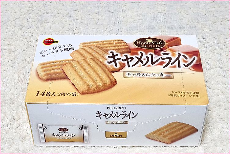 キャメルライン